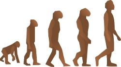 Evolução Humana Charles Darwin